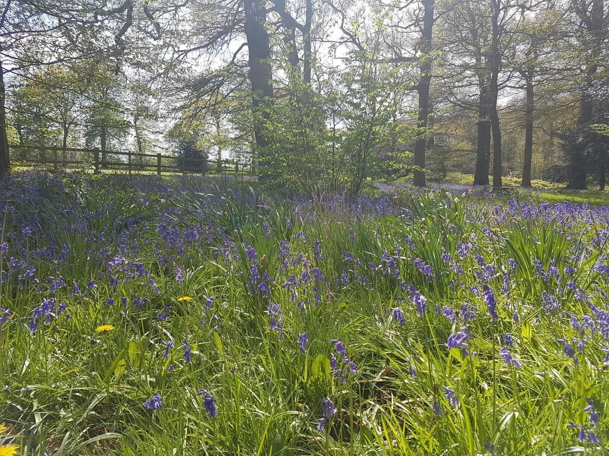 Kelham House Country Manor Hotel Newark upon Trent Εξωτερικό φωτογραφία